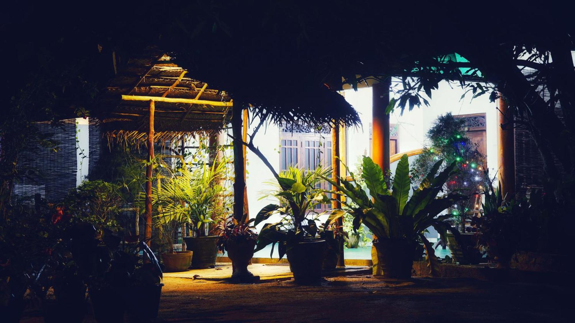 Sigiri Dilu Villa シギリヤ エクステリア 写真