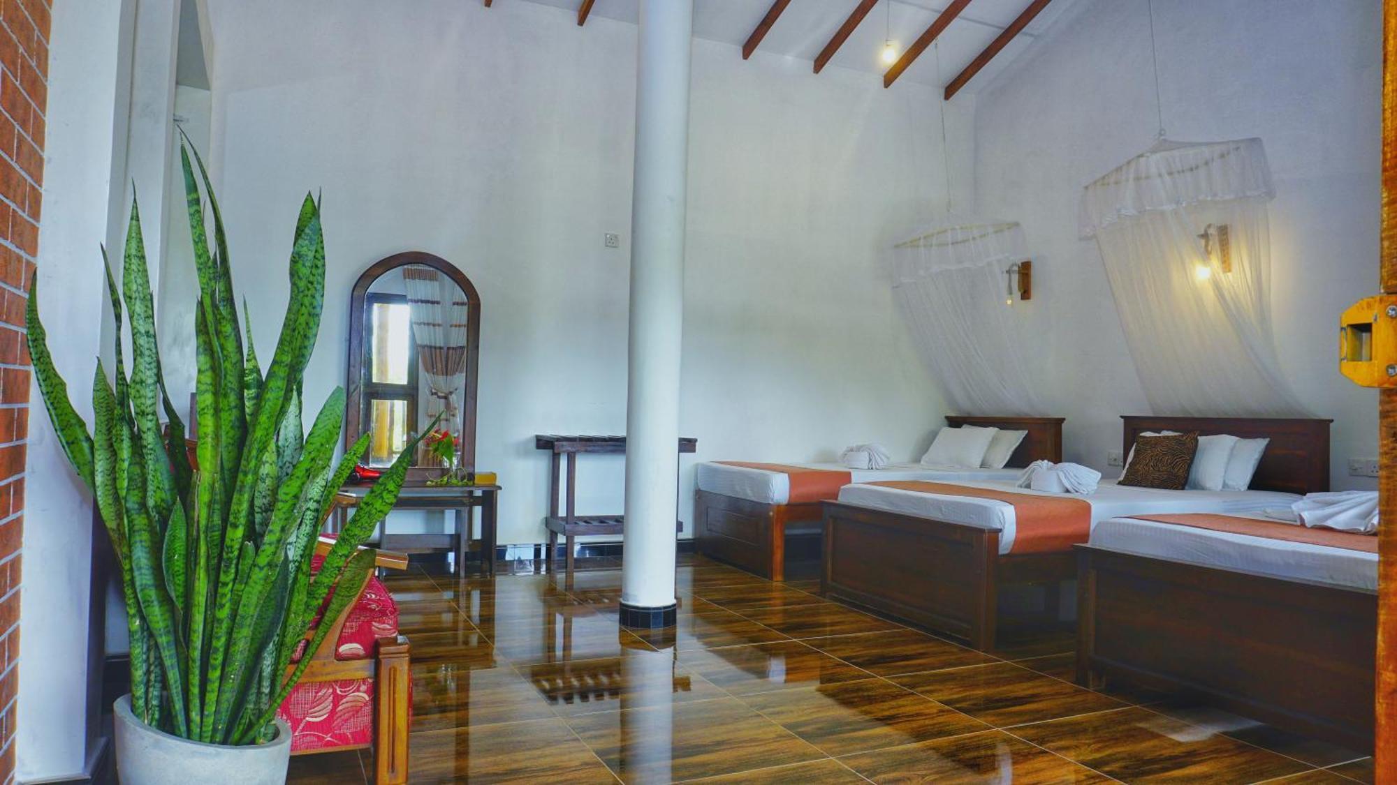 Sigiri Dilu Villa シギリヤ エクステリア 写真
